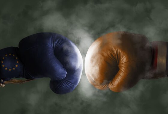 Boxing gloves EU against Netherlands