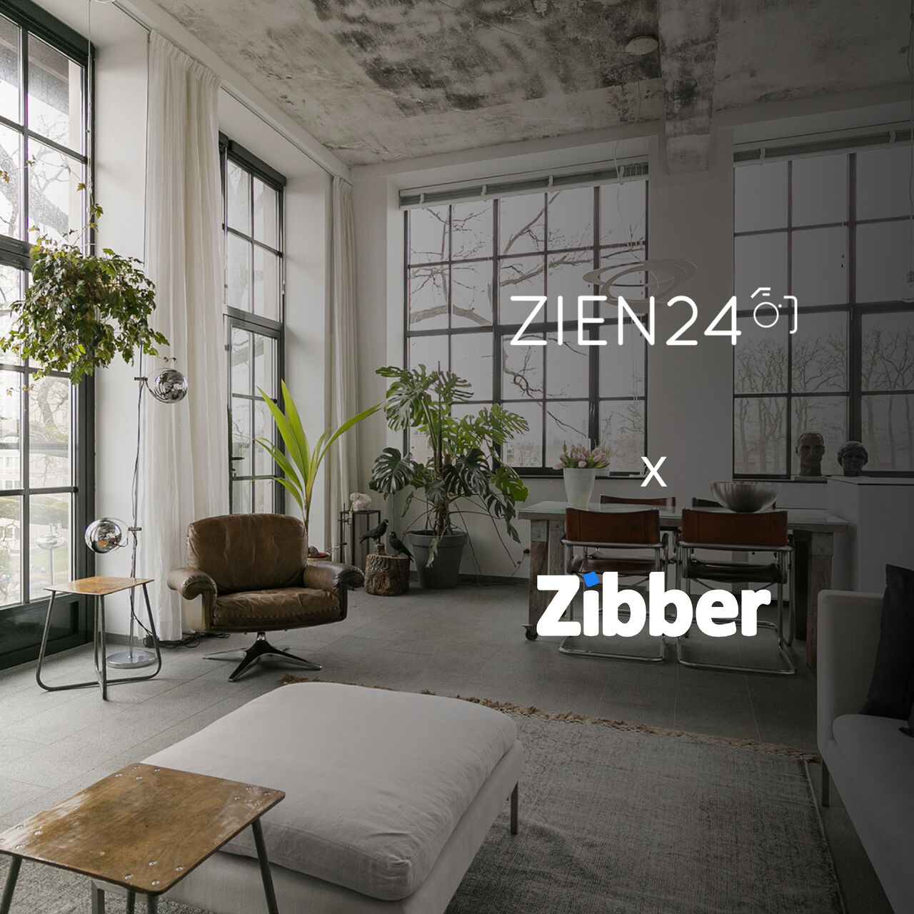 Zien24 x Zibber